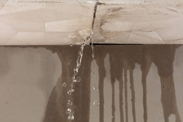Professional Structural Drying technician working in Lyons, WI